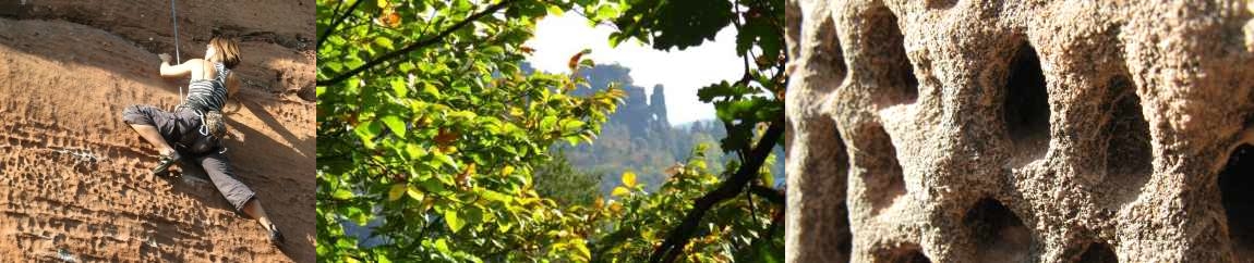 Herbst