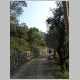 DSCF0493.JPG